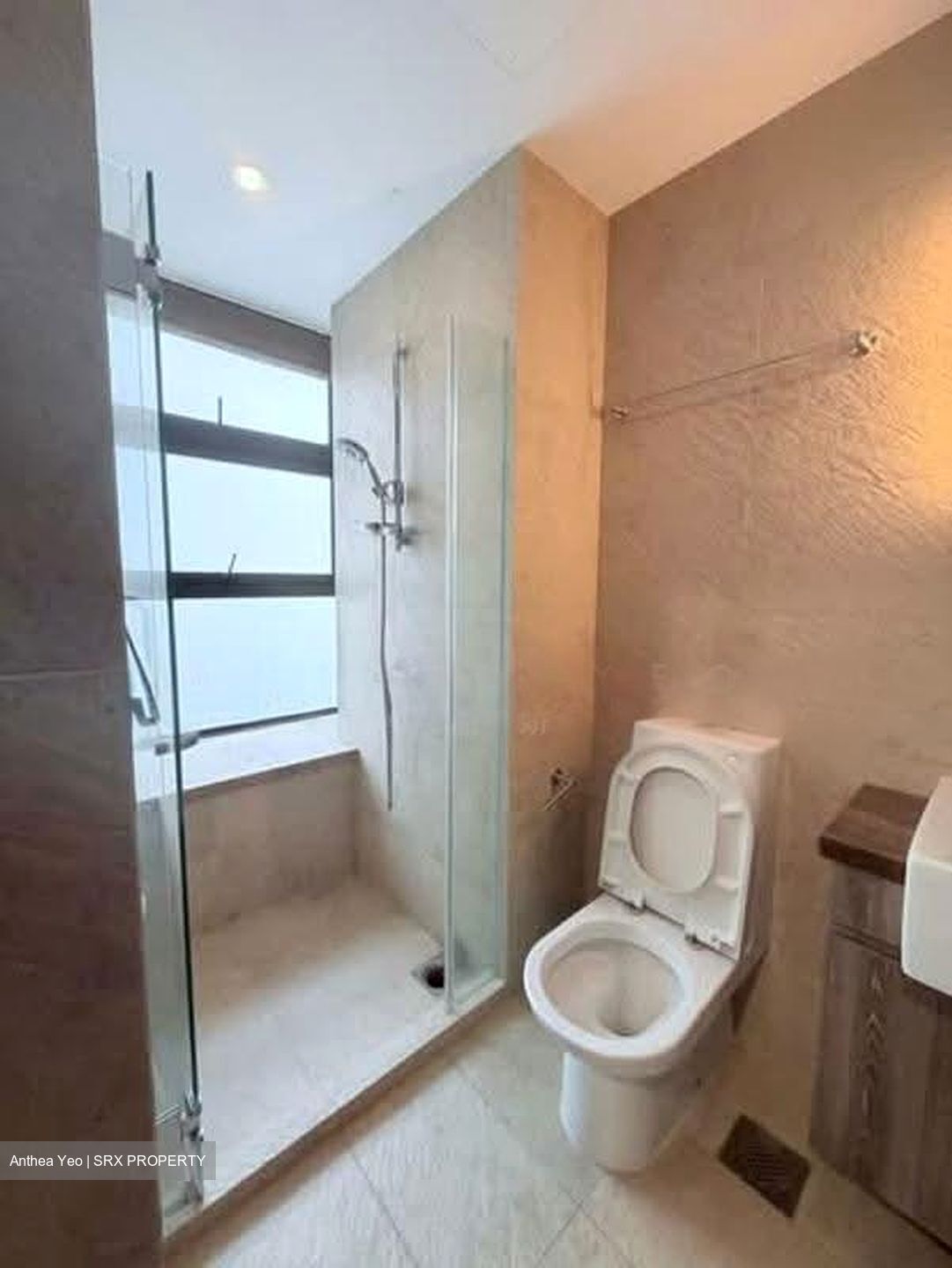 Holland Link (D10), Terrace #617746281